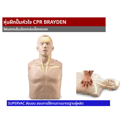 หุ่นฝึกปั๊มหัวใจ Brayden Adult